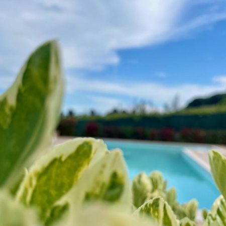 Vigneto - Italian Restaurant & B&B Villa Rosa Di Martinsicuro Екстер'єр фото