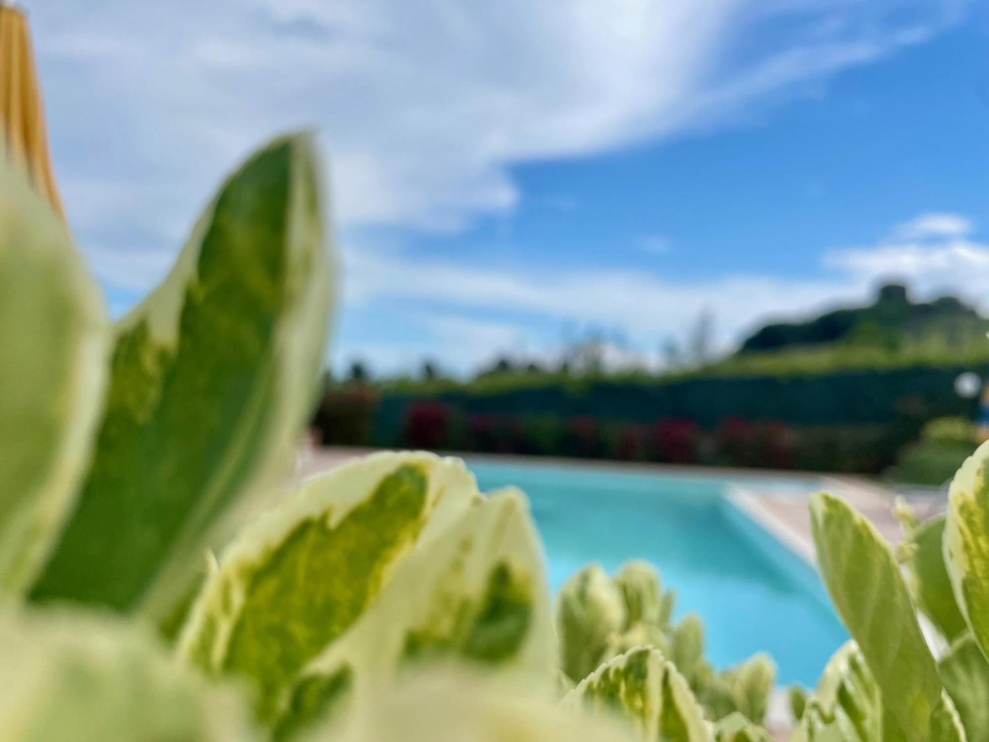 Vigneto - Italian Restaurant & B&B Villa Rosa Di Martinsicuro Екстер'єр фото