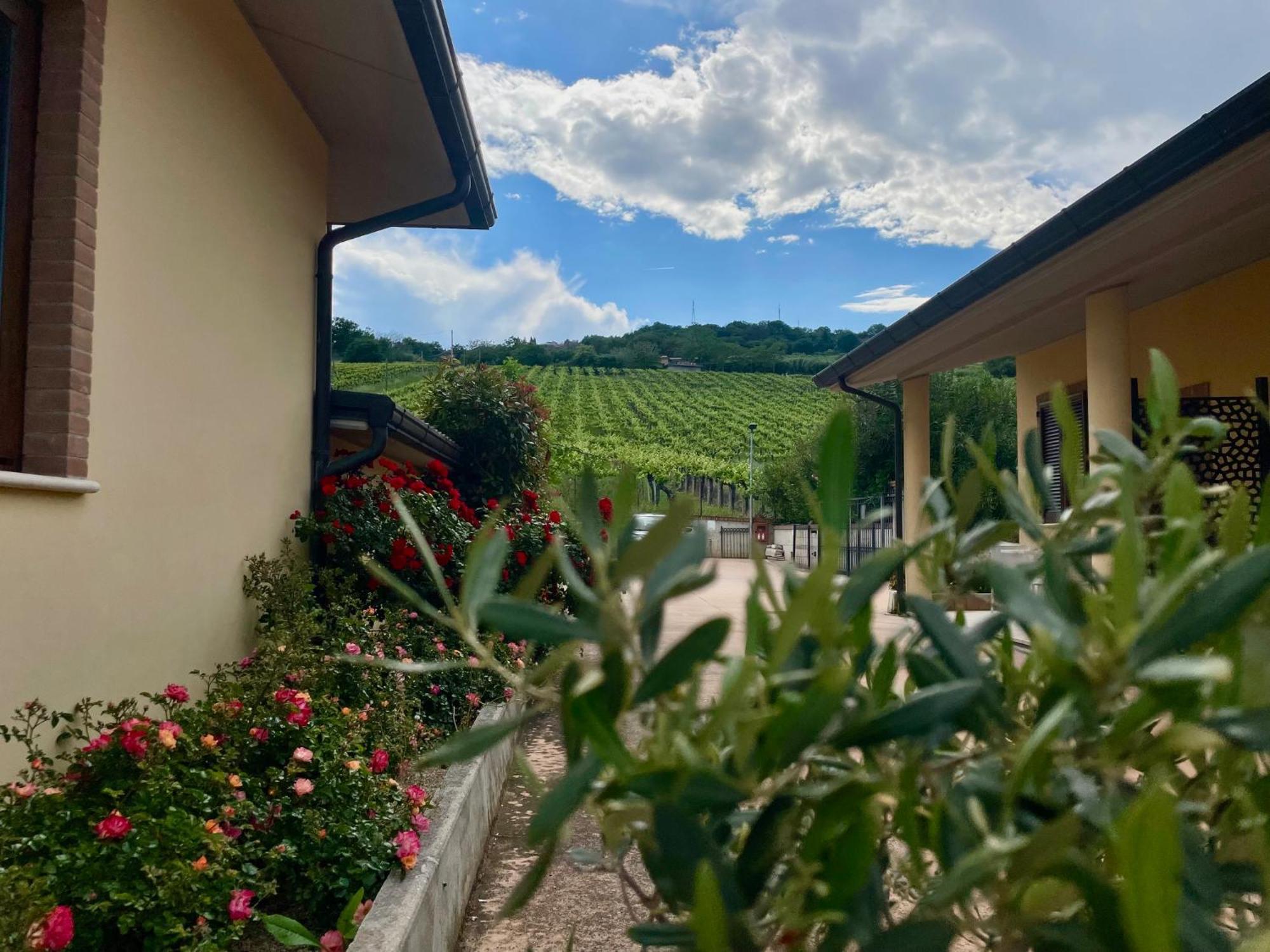 Vigneto - Italian Restaurant & B&B Villa Rosa Di Martinsicuro Екстер'єр фото